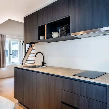 Huswell - Stylish Duplex With Premium Materials In Center Apartment Ghent