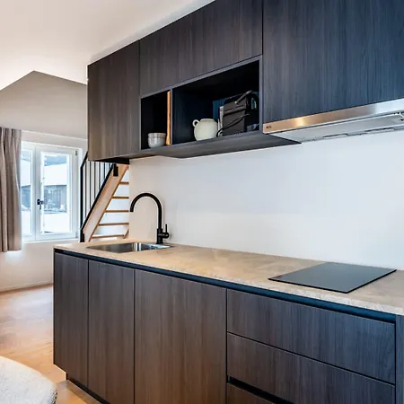 Stylish Duplex With Premium Materials In Center Апартаменты Гент