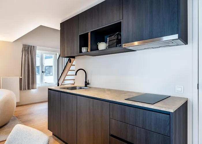 Huswell - Stylish Duplex With Premium Materials In Center Apartment Gent